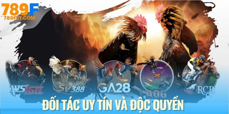 Đá Gà 789F - Sân Chơi Cá Cược Đỉnh Cao Dành Cho Kê Thủ Đối tác uy tín của sảnh đá gà 789F