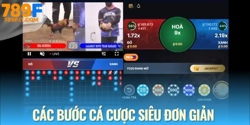 Đá Gà 789F - Sân Chơi Cá Cược Đỉnh Cao Dành Cho Kê Thủ Từng bước đặt cược đá gà 789F thông minh và theo dõi kết quả