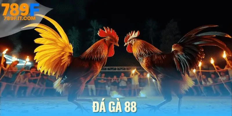 Đá Gà 88 – Đặt Cược Đỉnh Cao, Thưởng Cực Lớn 24/7 Đá gà 88