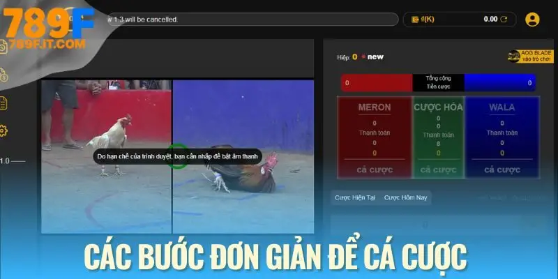Đá Gà Cựa Dao - Môn Giải Trí Không Thể Thiếu Tại Mọi Nhà Cái 4 bước đặt cược an toàn tại sảnh đá gà cựa dao cho tân binh