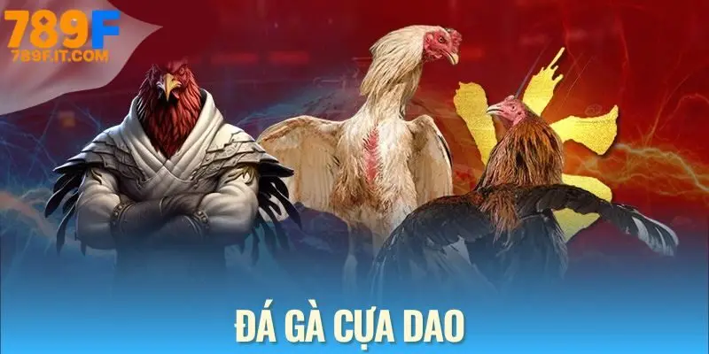 Đá Gà Cựa Dao - Môn Giải Trí Không Thể Thiếu Tại Mọi Nhà Cái Đá gà cựa dao