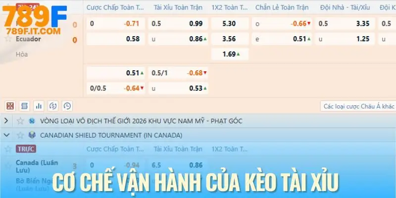 Kèo Tài Xỉu - Cách Tiếp Cận Cá Cược Bóng Đá Nhanh Cho Newbie Cơ chế hoạt động của kèo tài xỉu trong cá độ bóng đá