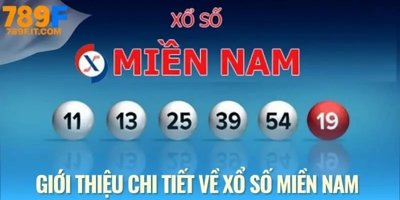 Xổ Số Miền Nam - Cơ Hội Trúng Lớn, Rinh Thưởng Cực Nhanh Luật chơi xổ số miền Nam tại nhà cái trực tuyến